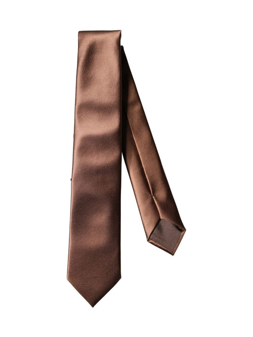 Dolce & Gabbana Brown Satin 100% Silk Wide Adjustable Men Necktie Tie