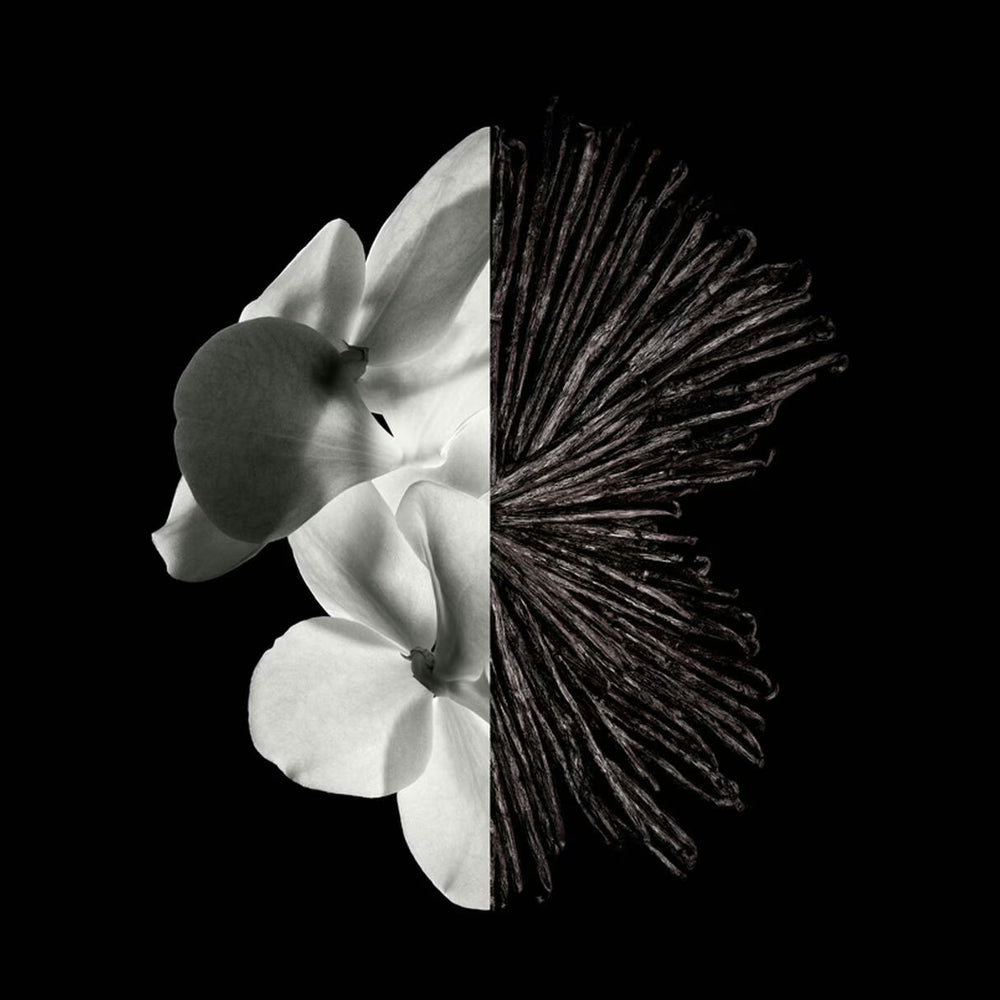 Givenchy Gentleman Eau de Parfum 60ml Spray