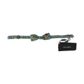 Dolce & Gabbana Mint Green Jazz Club Adjustable Neck Papillon Bow Tie