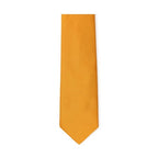 Dolce & Gabbana Orange Silk Tie