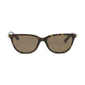 Alexander McQueen Brown Acetate Sunglasses