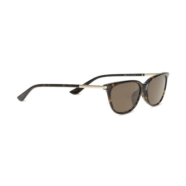 Alexander McQueen Brown Acetate Sunglasses