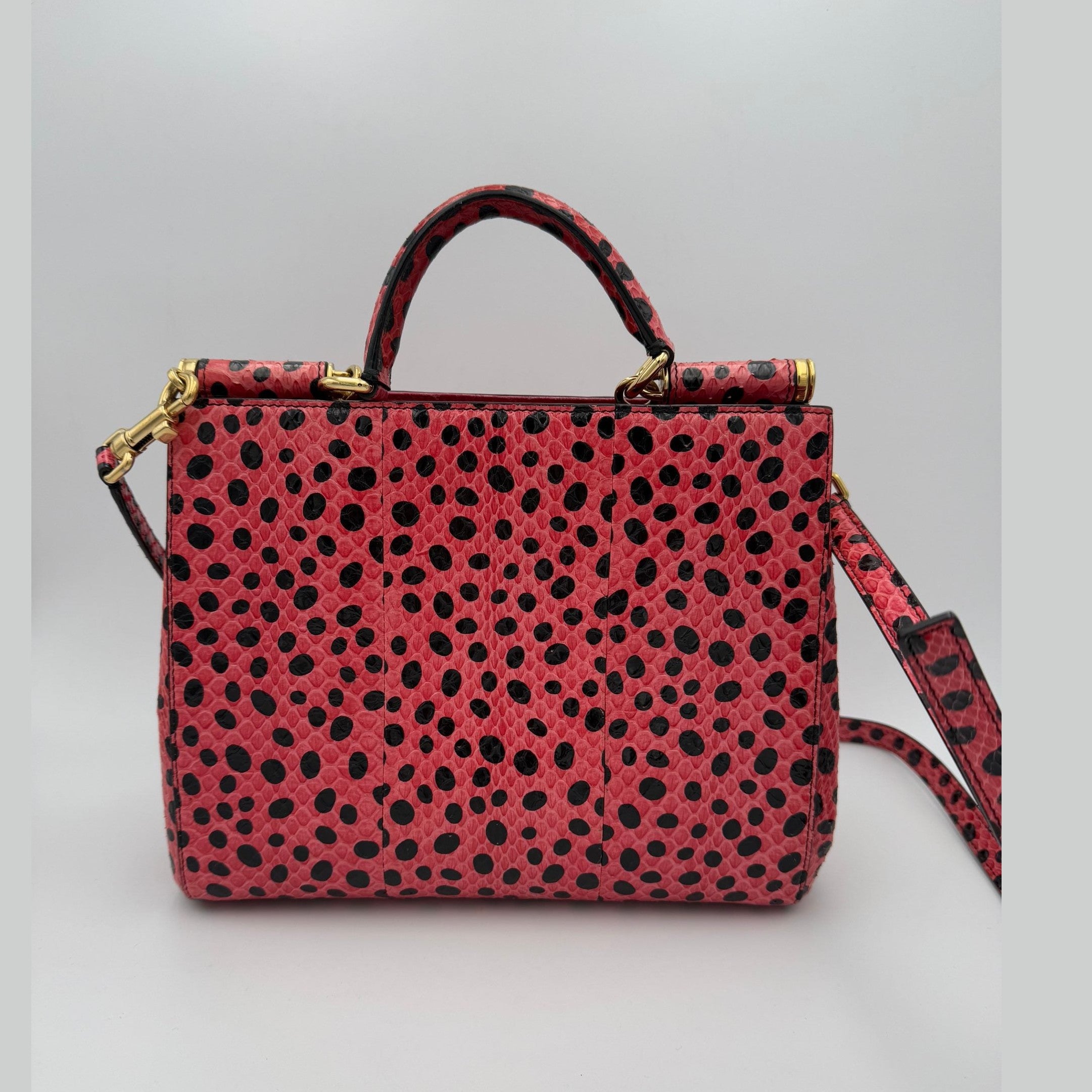 Dolce & Gabbana DOLCE & GABBANA Sicily in Reptile Skin Handbag