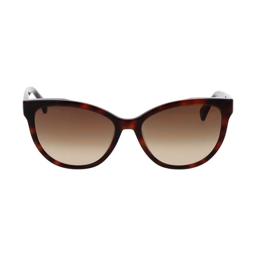Max Mara Brown Acetate Sunglasses