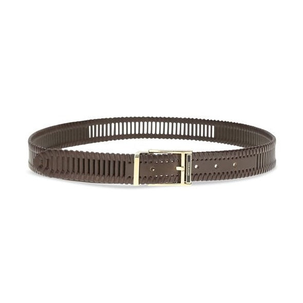 Ferragamo Brown Calf Leather Bos Taurus Regular Belt