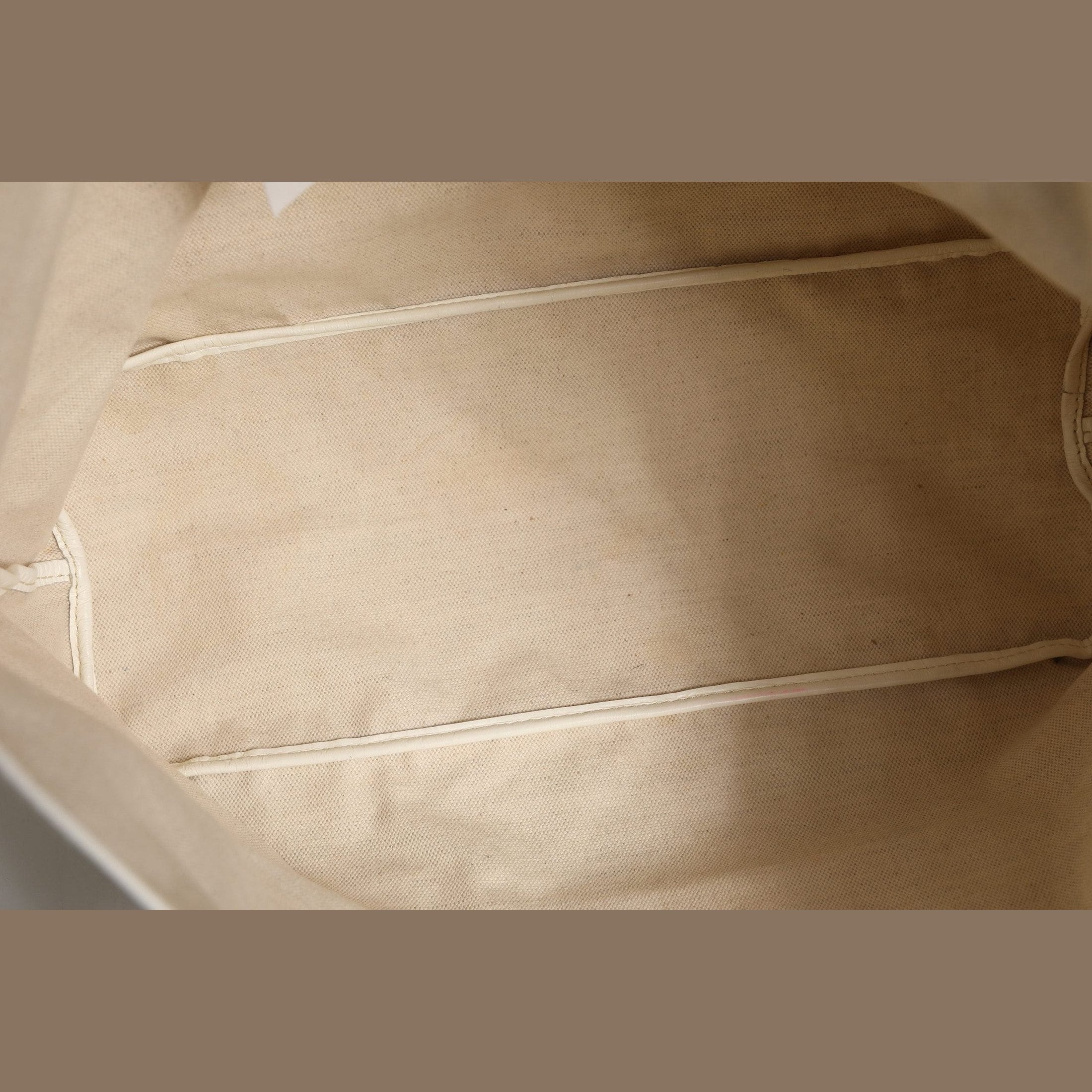 Saint Louis PM Tote Bag in Goyardine Canvas White
