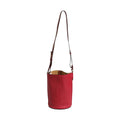 Loewe Gate Raspberry & Wine Leather Bucket Bag