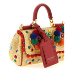 Dolce & Gabbana Multicolor Viscose Handbag