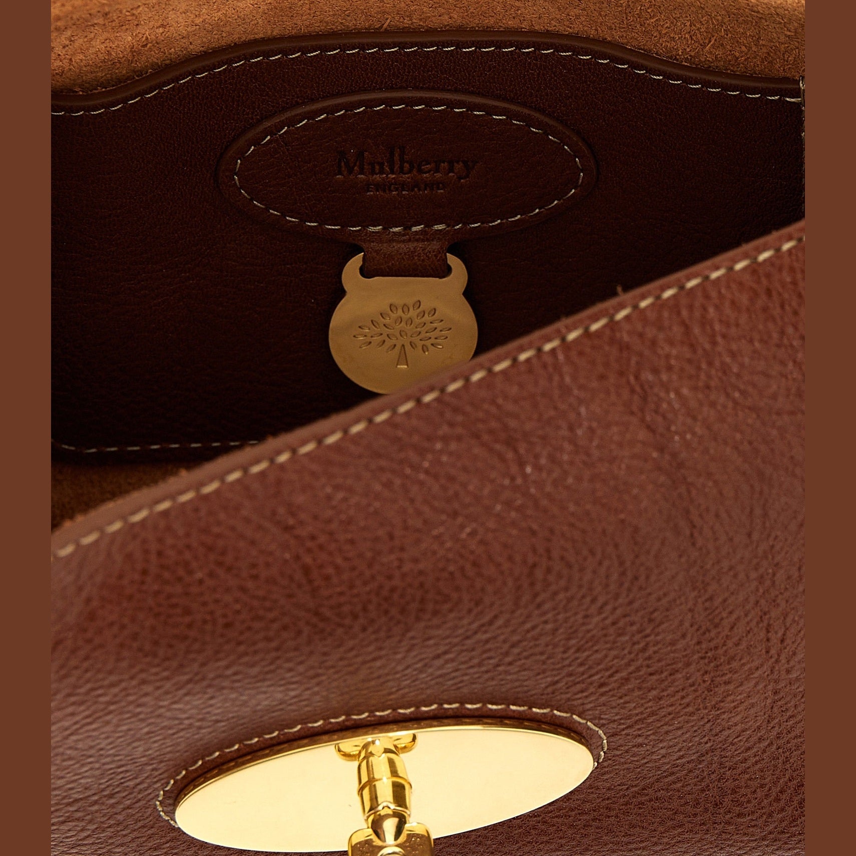 Mulberry Brown Bovine Leather Crossbody Bag