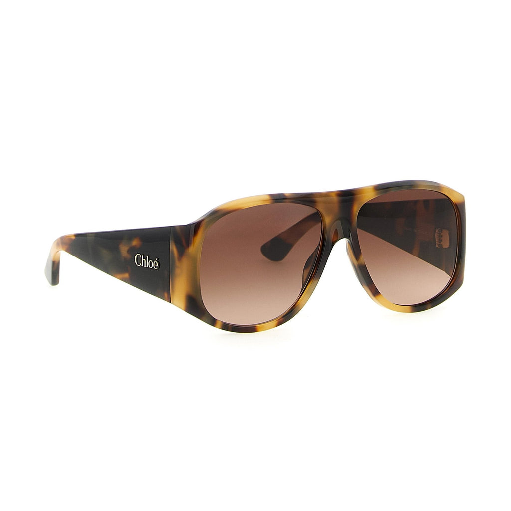 Chloé Brown Acetate Sunglasses
