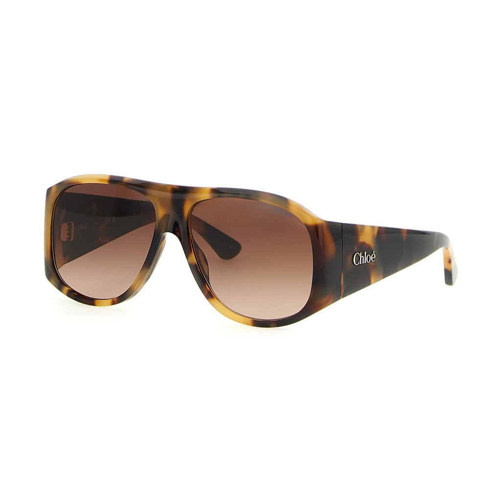 Chloé Brown Acetate Sunglasses