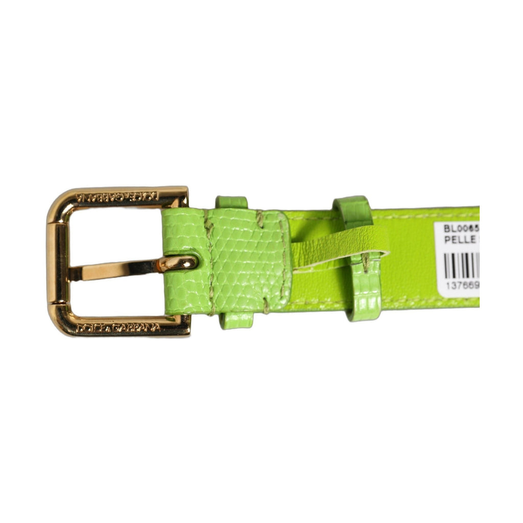 Dolce & Gabbana Green Textured Leather Gold Buckle Belt Strap Bracelet
