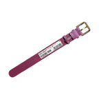 Dolce & Gabbana Purple Textured Leather Gold Buckle Belt Strap Bracelet