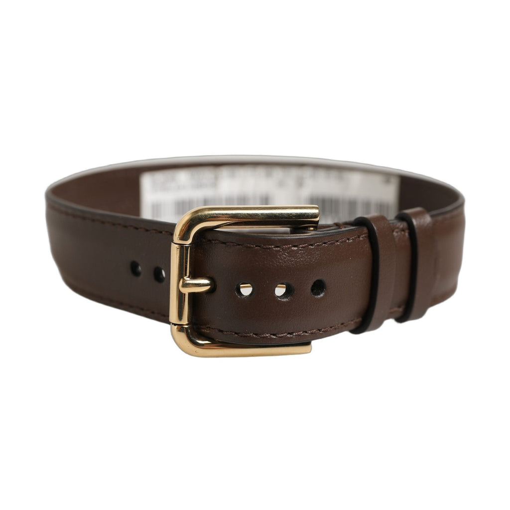 Dolce & Gabbana Brown Calfskin Leather Gold Buckle Belt Strap Bracelet