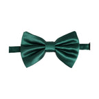 Dolce & Gabbana Men Green 100% Silk Adjustable Neck Papillon Bow Tie