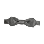 Dolce & Gabbana Men Gray 100% Silk Adjustable Neck Papillon Bow Tie