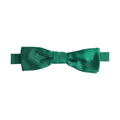 Dolce & Gabbana Men Green 100% Silk Adjustable Neck Papillon Bow Tie