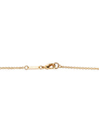 Dolce & Gabbana Gold Brass Necklace