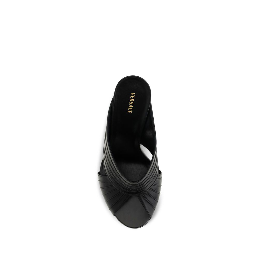Black Lamb Ovis Aries Aries Mules