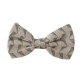 Dolce & Gabbana Gray 100% Silk Adjustable Neck Papillon Bow Tie