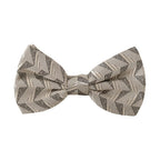 Dolce & Gabbana Gray 100% Silk Adjustable Neck Papillon Bow Tie