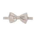 Dolce & Gabbana Gray 100% Silk Adjustable Neck Papillon Tie