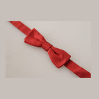 Dolce & Gabbana Red 100% Silk Adjustable Neck Papillon Tie