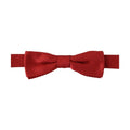 Dolce & Gabbana Red 100% Silk Adjustable Neck Papillon Tie