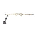 Dolce & Gabbana Ivory Fantasy Pattern Adjustable Neck Papillon Bow Tie
