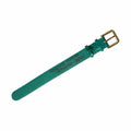 Dolce & Gabbana Green Textured Leather Gold Tone Metal Buckle Neckband