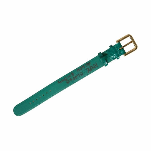 Dolce & Gabbana Green Textured Leather Gold Tone Metal Buckle Neckband