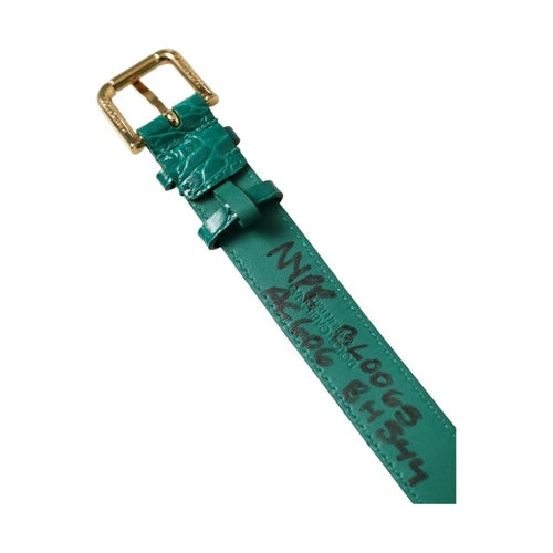 Dolce & Gabbana Green Textured Leather Gold Tone Metal Buckle Neckband