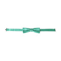 Dolce & Gabbana Mint Green Silk Adjustable Neck Men Bow Tie