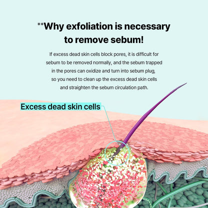 Ilso-Super-Melting-Sebum-Softener-Special-Set – beauty &amp; skincare essential for daily radiance