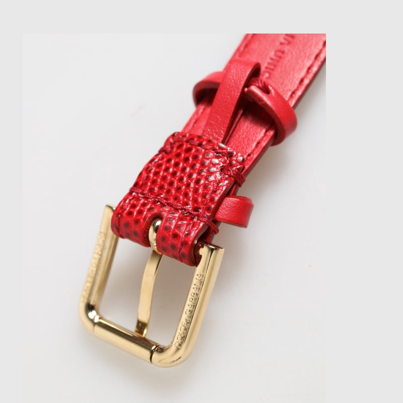 Dolce & Gabbana Red Exotic Leather Gold Tone Metal Buckle Women Armband