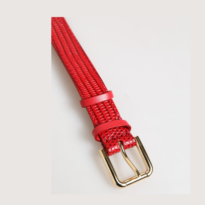 Dolce & Gabbana Red Exotic Leather Gold Tone Metal Buckle Women Armband