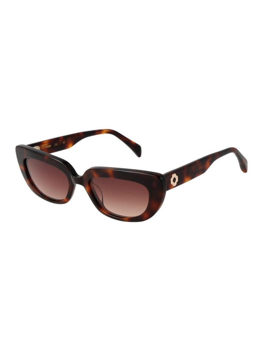 Maje Brown Acetate Sunglasses
