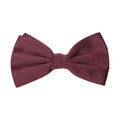 Dolce & Gabbana Bordeaux Silk Bowtie