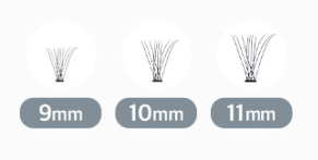 CORINGCO Toktok-Hara Air Eyelash 100pcs (3 Types) - All Day Pretty Korean Beauty CORINGCO