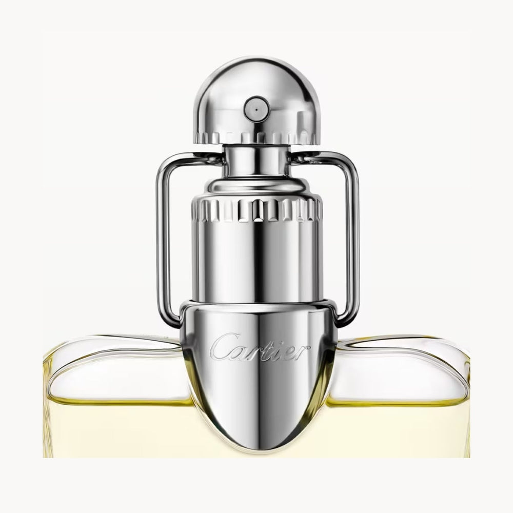 Declaration by Cartier Eau De Toilette spray 5 oz for Men