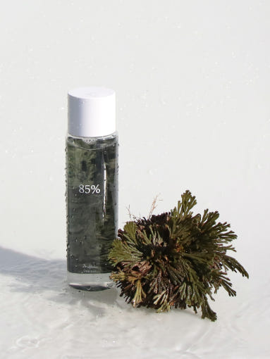 Dr-Althea-Anastatica-Skin-Conditioning-Toner-250Ml – beauty & skincare essential for daily radiance