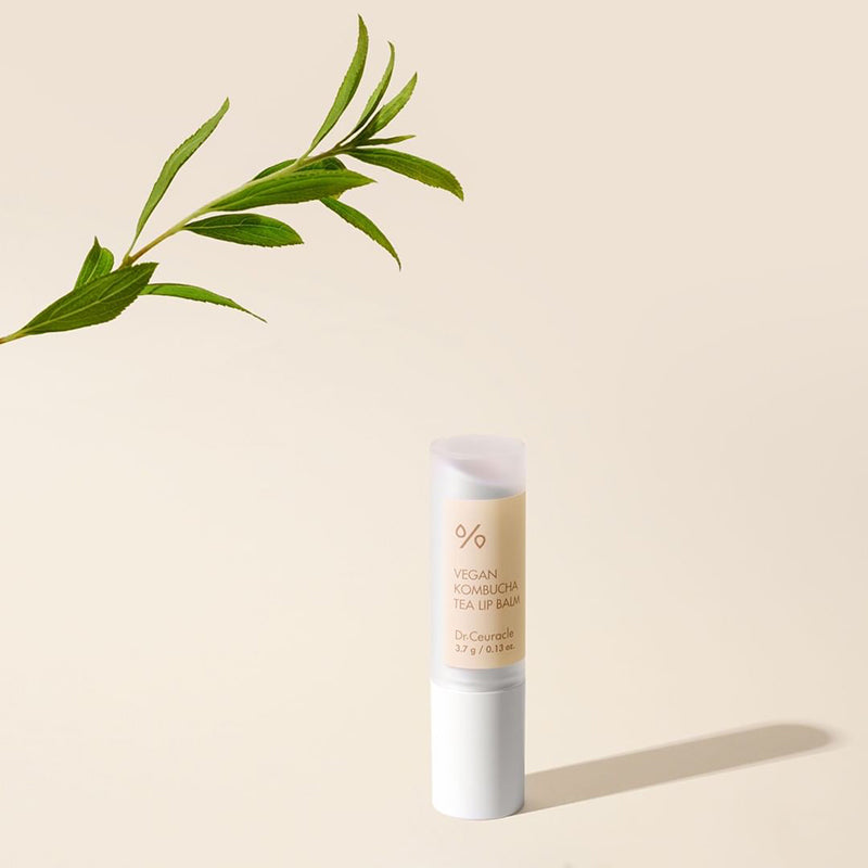 Dr-Ceuracle-Vegan-Kombucha-Tea-Lip-Balm-3-7G – beauty & skincare essential for daily radiance