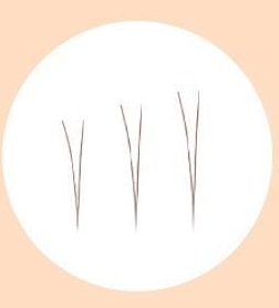 Fillimilli-Point-Piece-Lashes-4-5-6Mm-90Pcs-Natural-Under – beauty & skincare essential for daily radiance