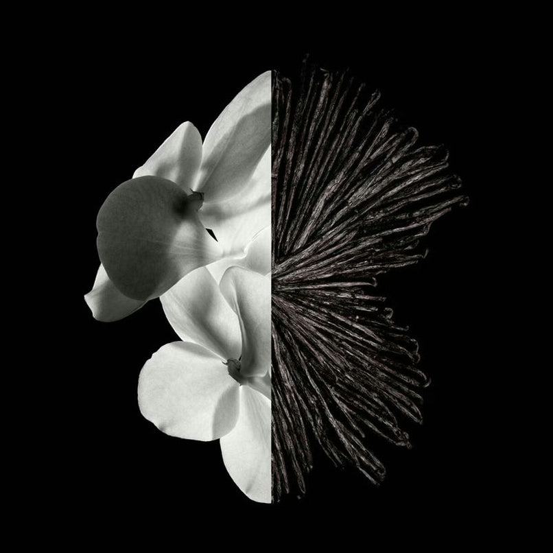 Givenchy Gentleman Eau de Parfum 60ml Spray