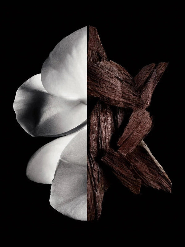 Givenchy Gentleman Eau de Parfum Boisee 60ml Spray