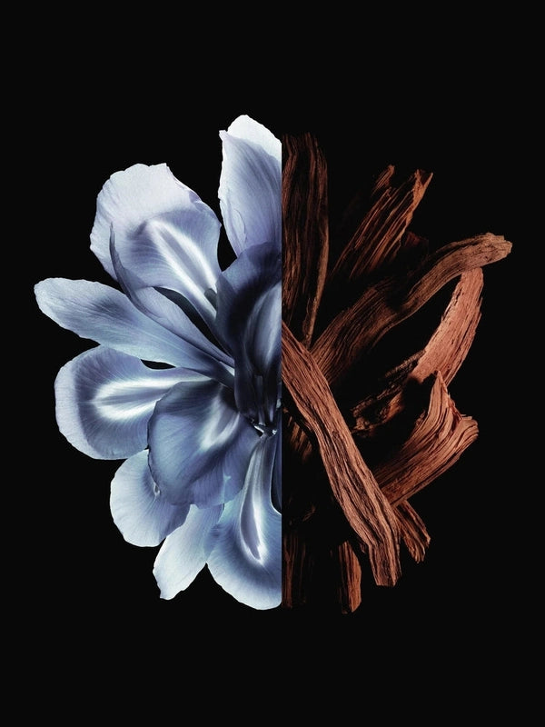 Givenchy Gentleman Reserve Privee Eau de Parfum 60ml Spray 