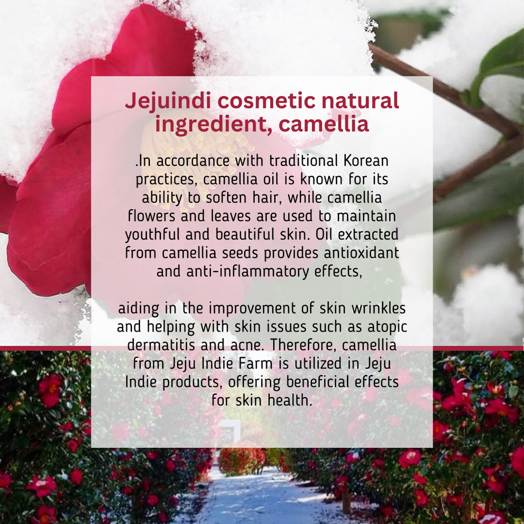 Jeju-Indi-Blossom-Sun-Cream-50Ml – beauty & skincare essential for daily radiance