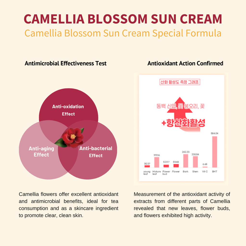 Jeju-Indi-Blossom-Sun-Cream-50Ml – beauty & skincare essential for daily radiance