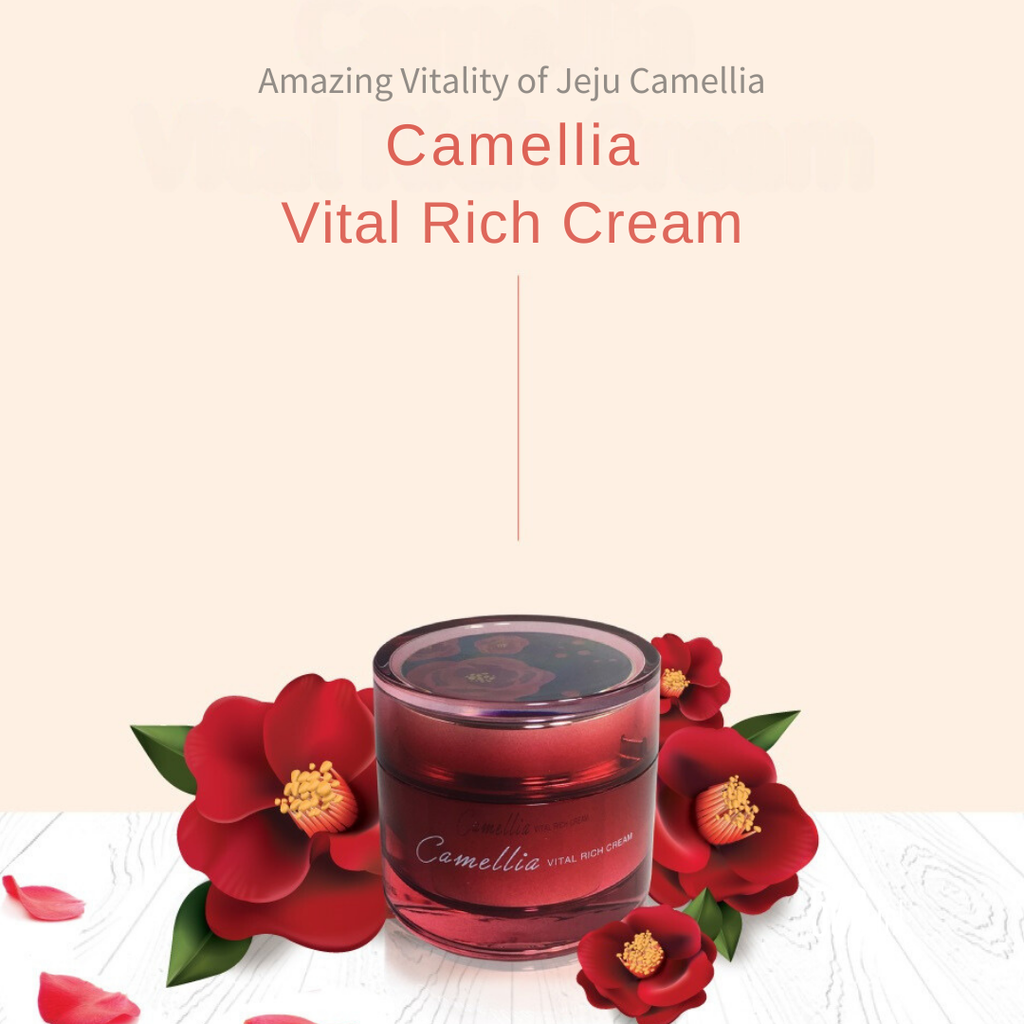 Jeju-Indi-Camellia-Vital-Rich-Cream-50Ml – beauty & skincare essential for daily radiance
