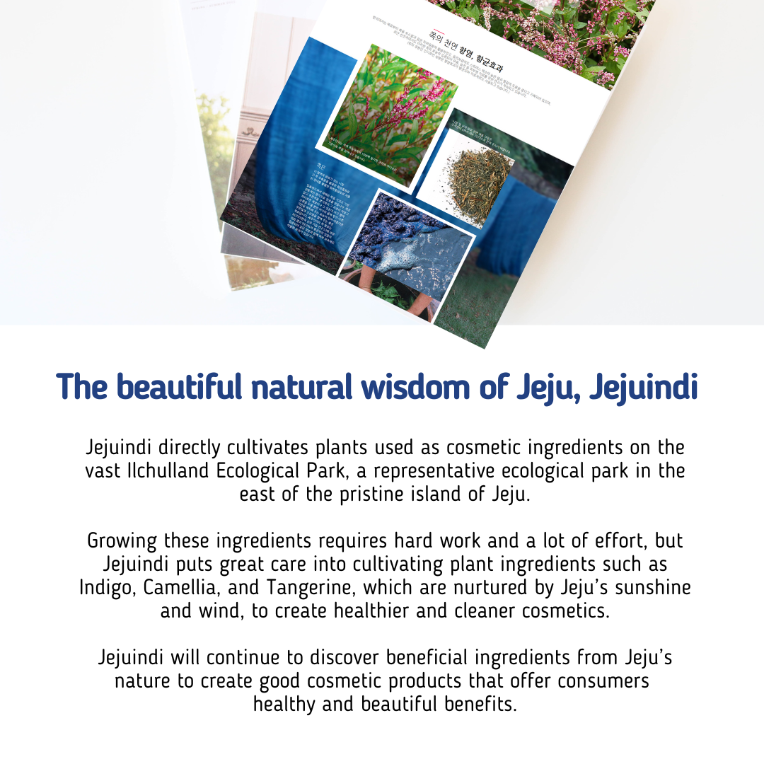 Jeju-Indi-Indigo-Moist-Gel-Cream-80G – beauty & skincare essential for daily radiance